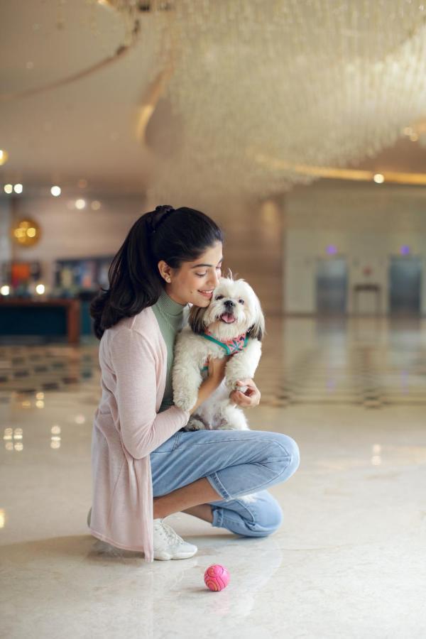 Novotel Aerocity 5* New Delhi