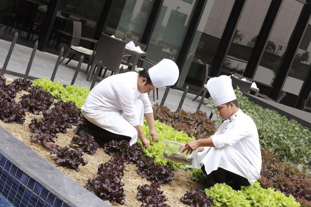 Novotel Aerocity 5*